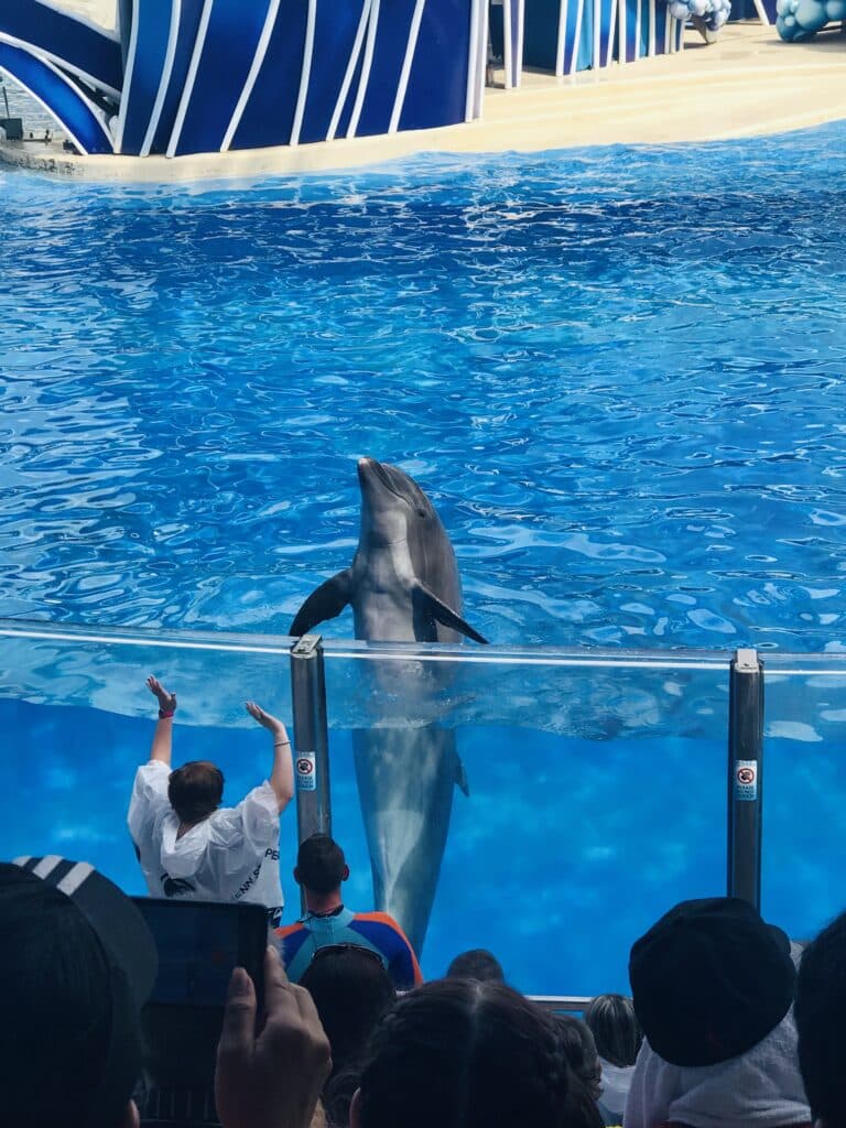 SeaWorld