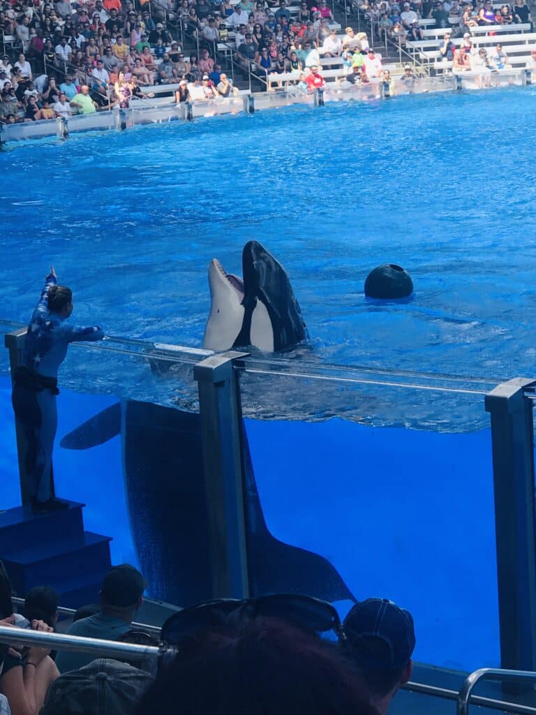 SeaWorld