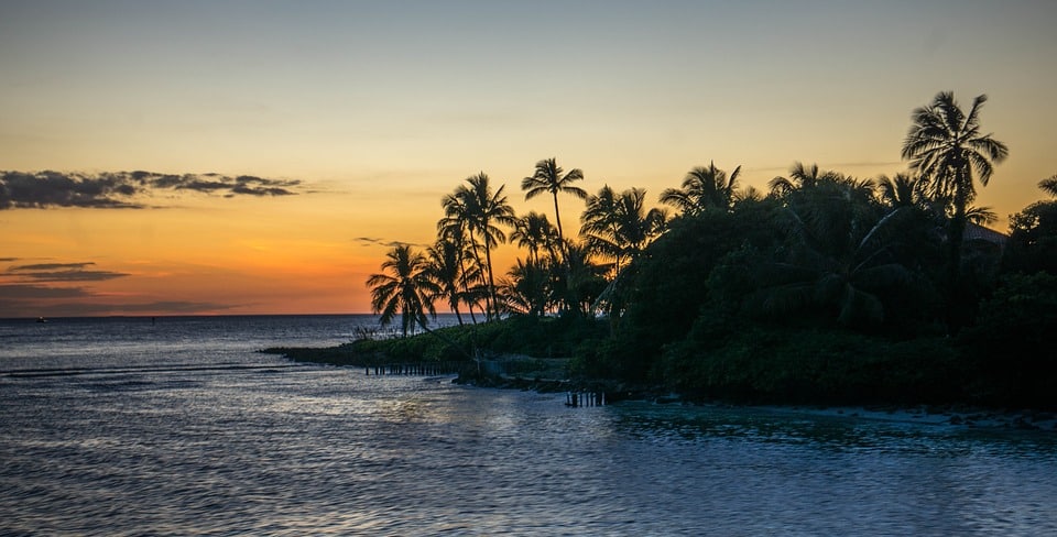 Golfo do México