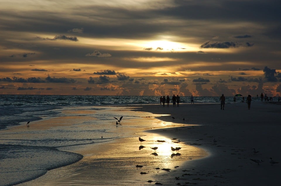 Golfo do México