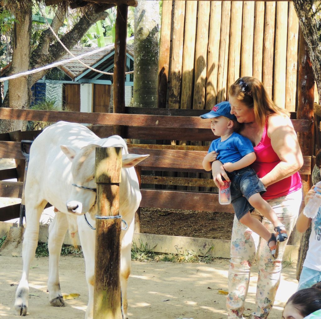 Fazendinha-em-Cotia