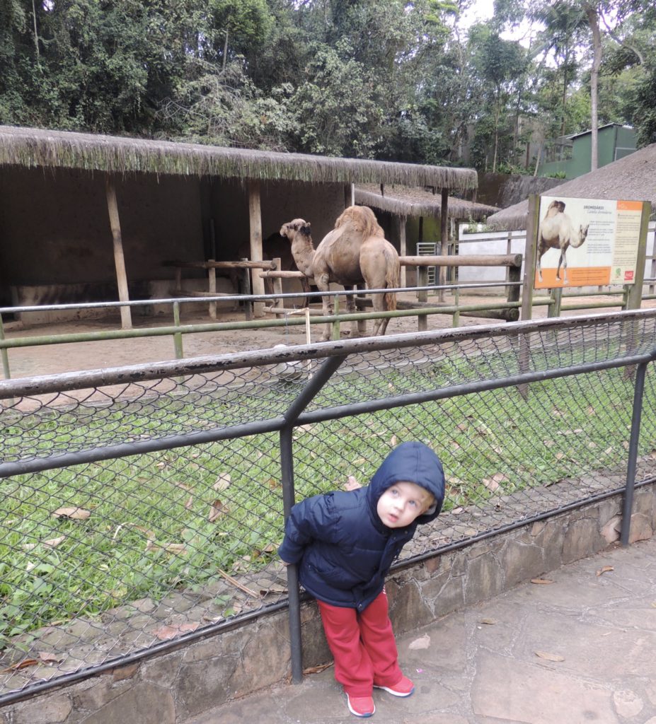 zoo-de-SP