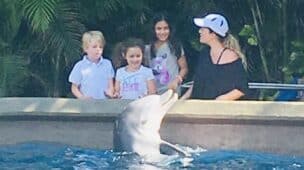 Encontro golfinhos no Sea world