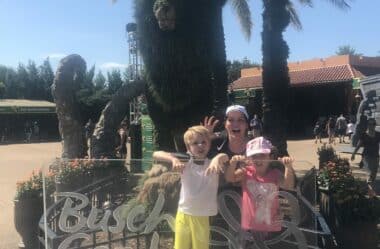 Busch Gardens: como aproveitar 1 dia de parque em Tampa