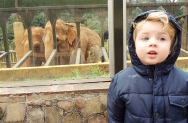 Zoológico de São Paulo: ótimo passeio na Capital